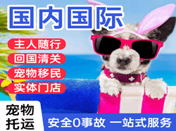信阳明港机场快递国际宠物托运 【国